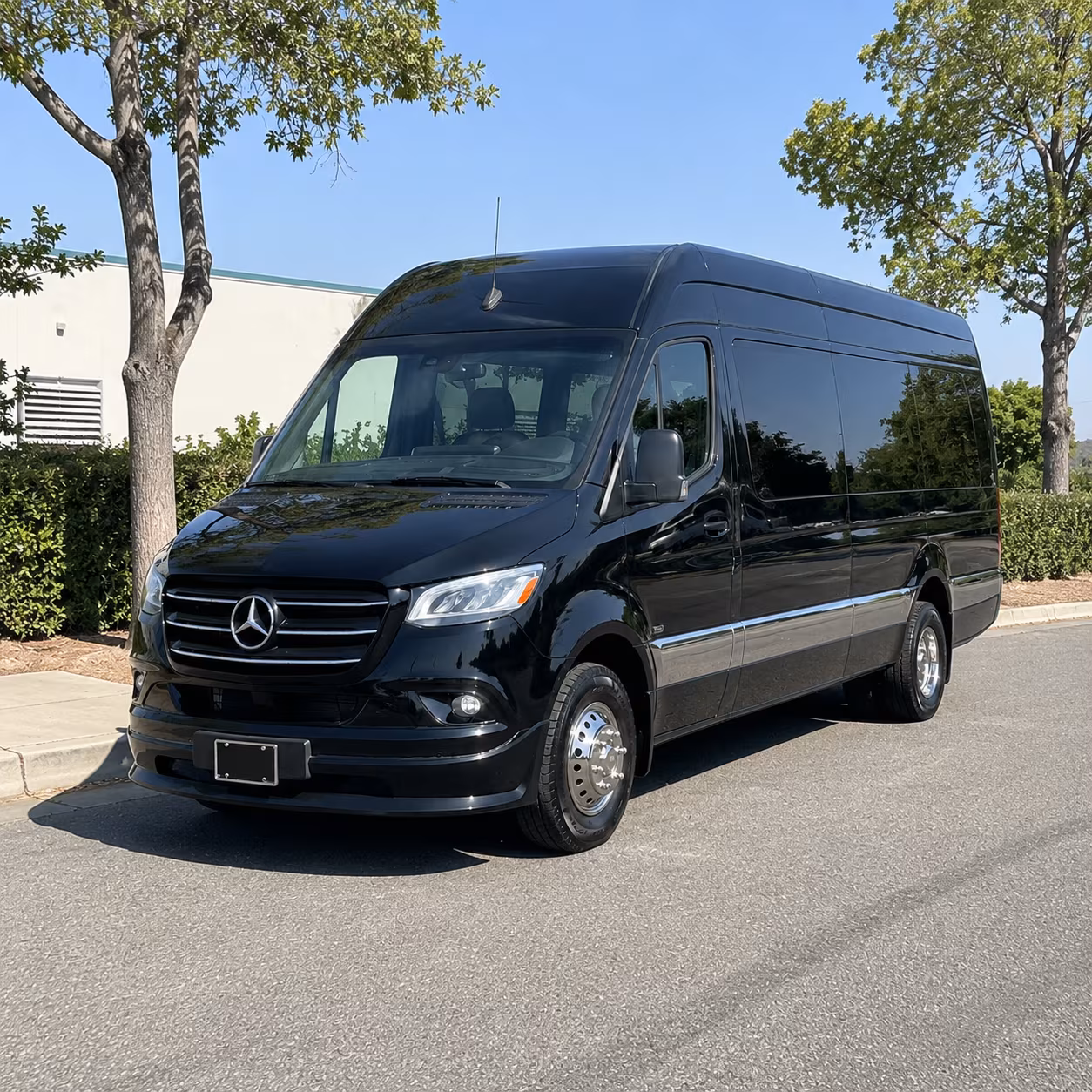 columbia sprinter van with driver